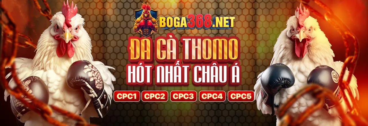 Ưu đãi khuyến mãi đá gà b99 code